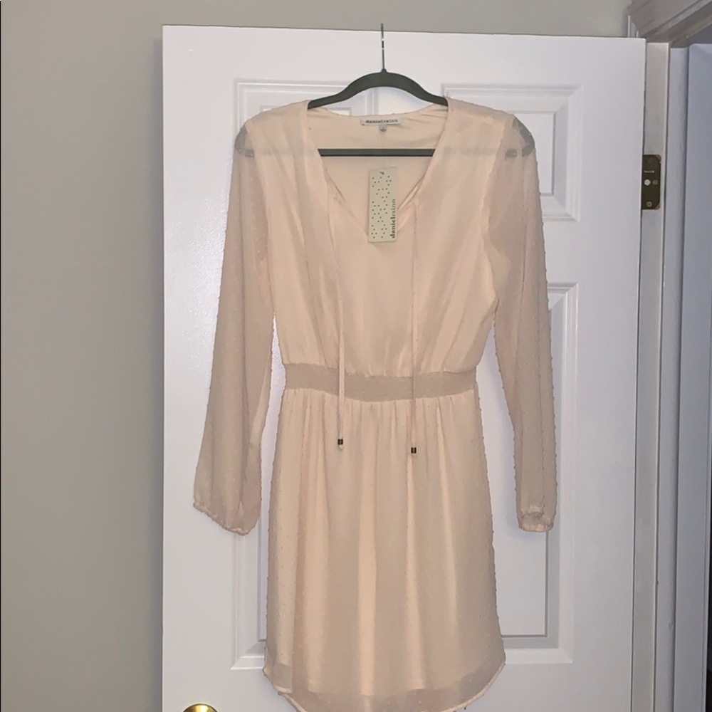 NWT Daniel Rainn sheer mini dress